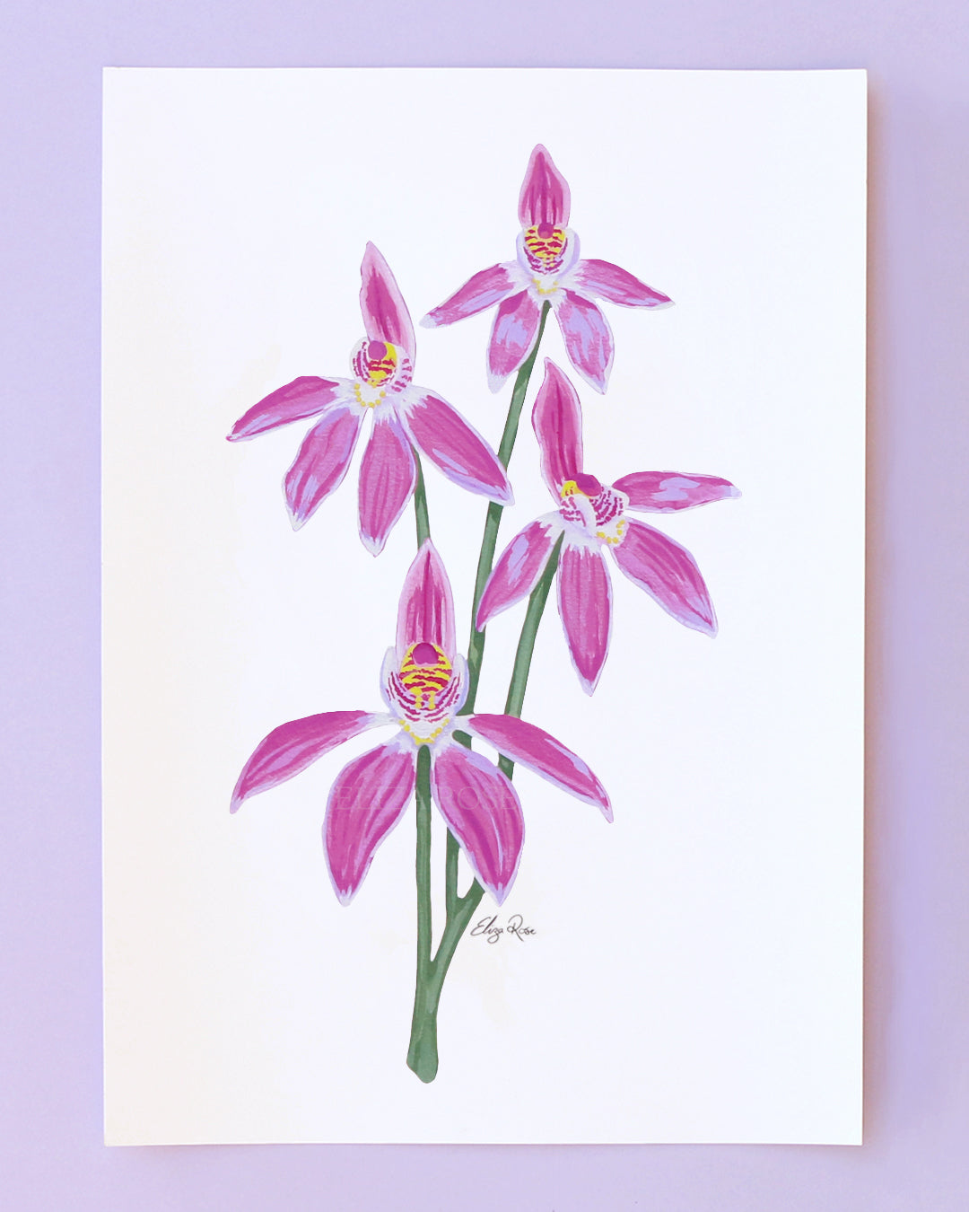 Rosie Orchid Flower || Fine Art Print