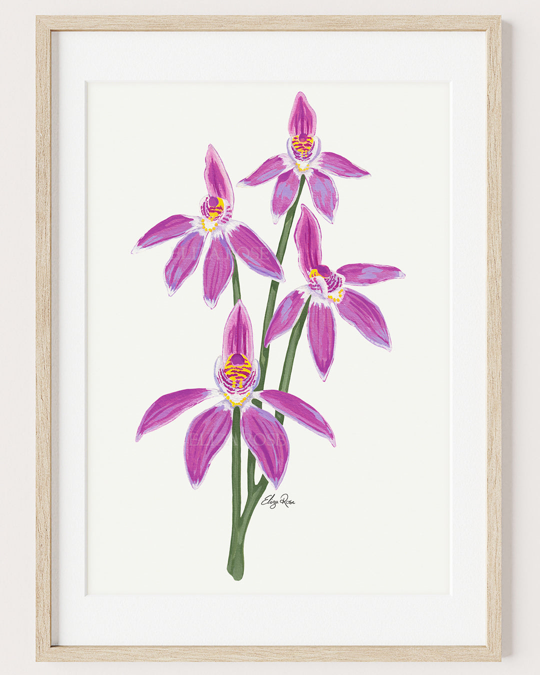 Rosie Orchid Flower || Fine Art Print