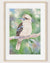 Archer the Kookaburra || Limited Edition Giclee Print