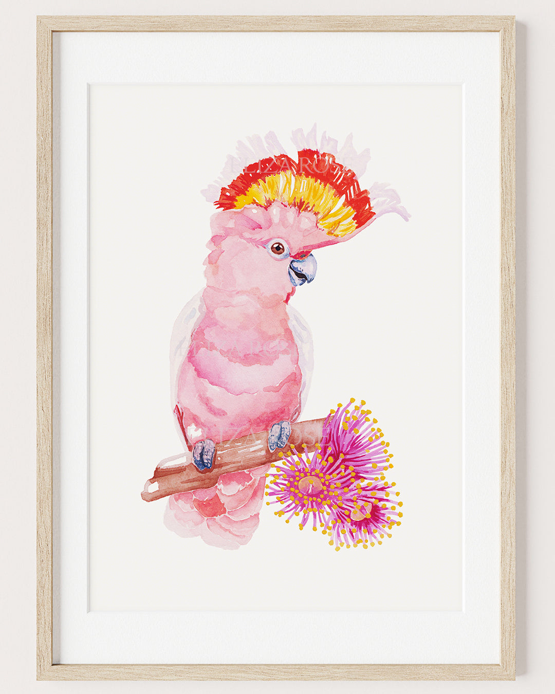 Pink Cockatoo &amp; Flowering Gum || Limited Edition Giclee Print