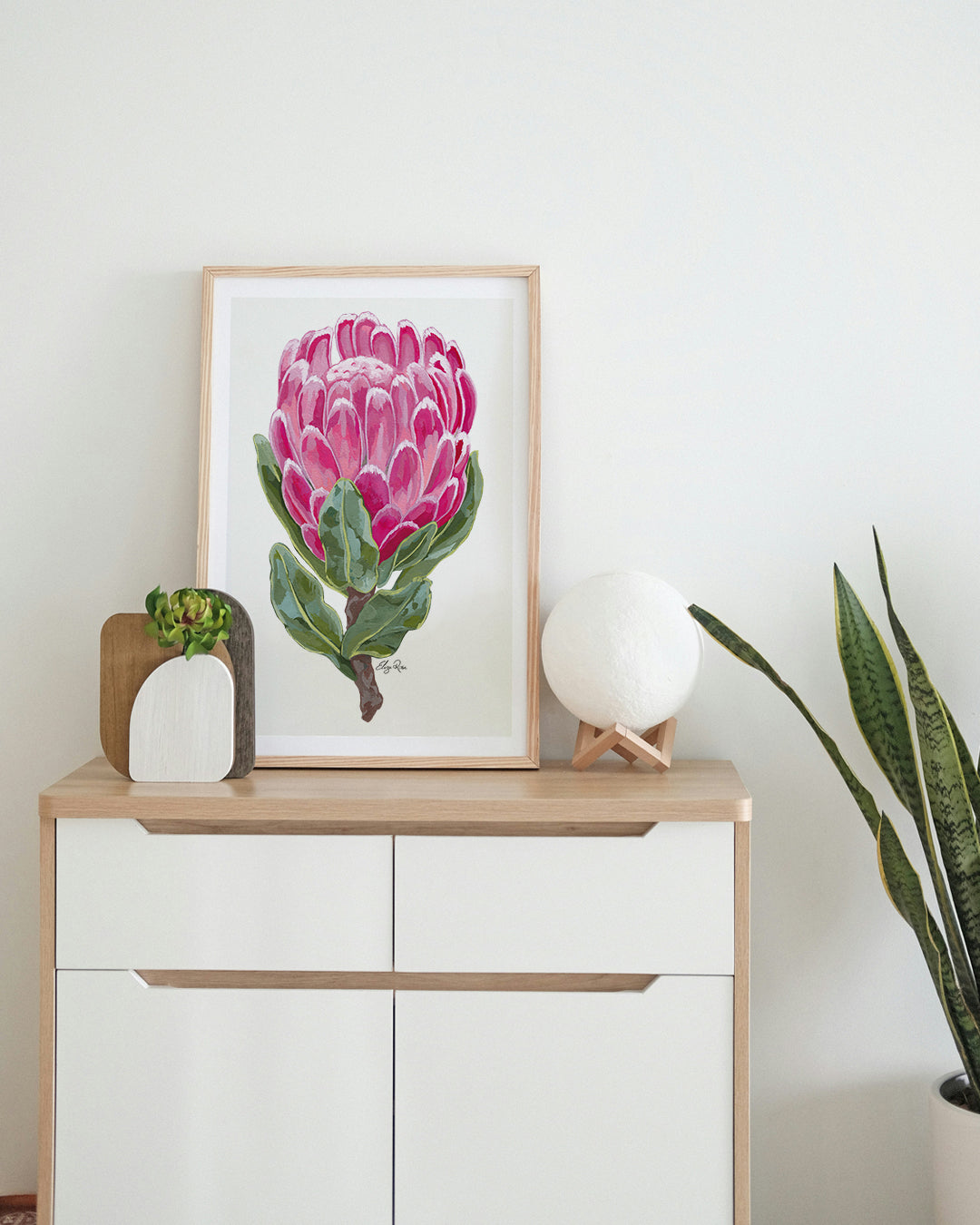 Lucy Protea Flower || Fine Art Print