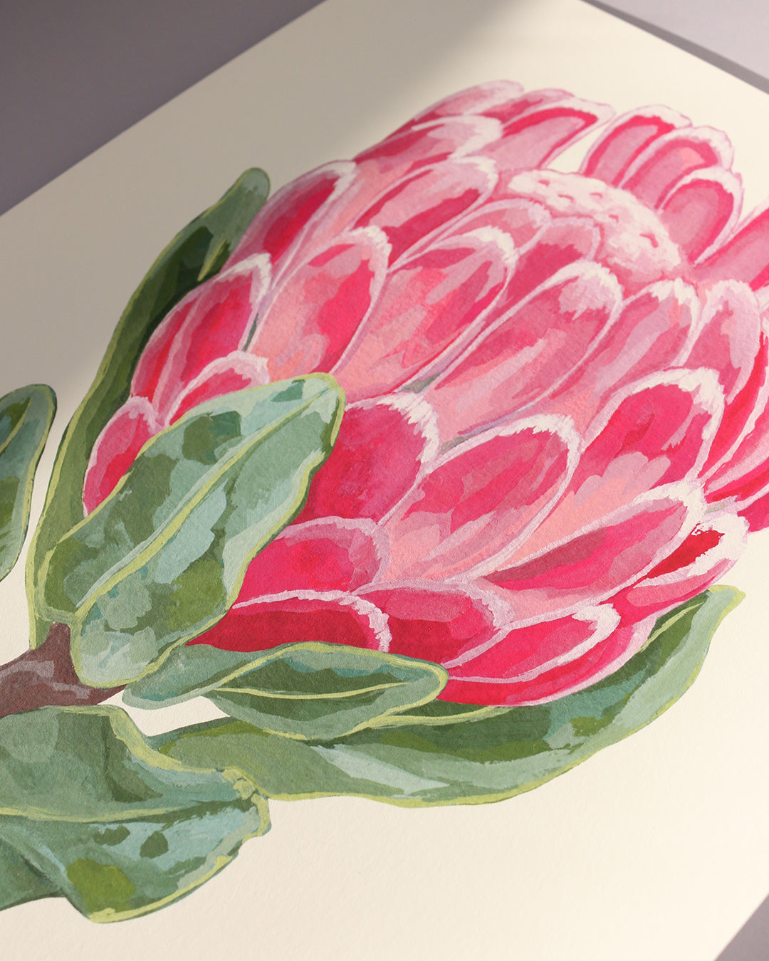 Lucy Protea Flower || Fine Art Print