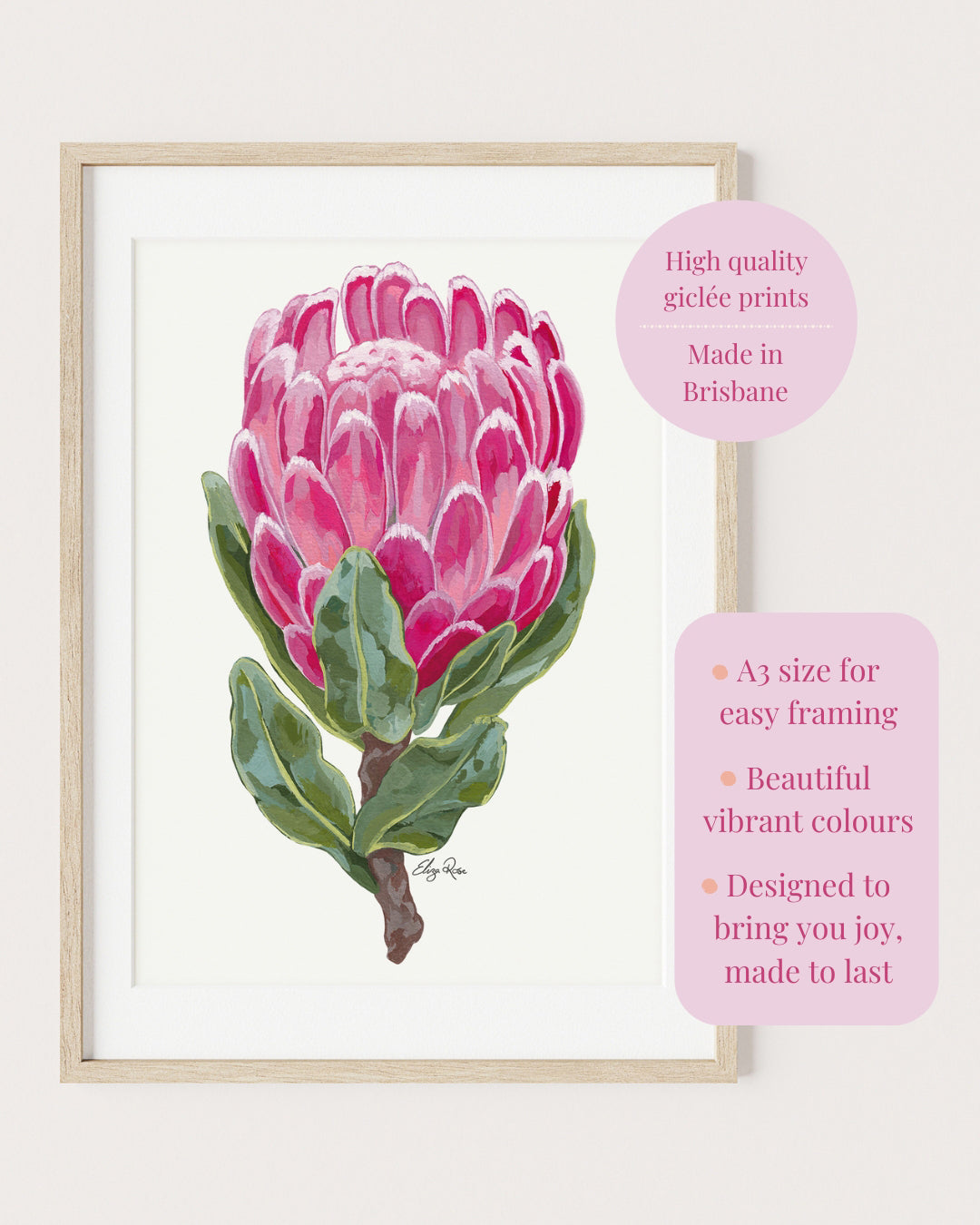 Seconds || Lucy Protea Flower || Fine Art Print