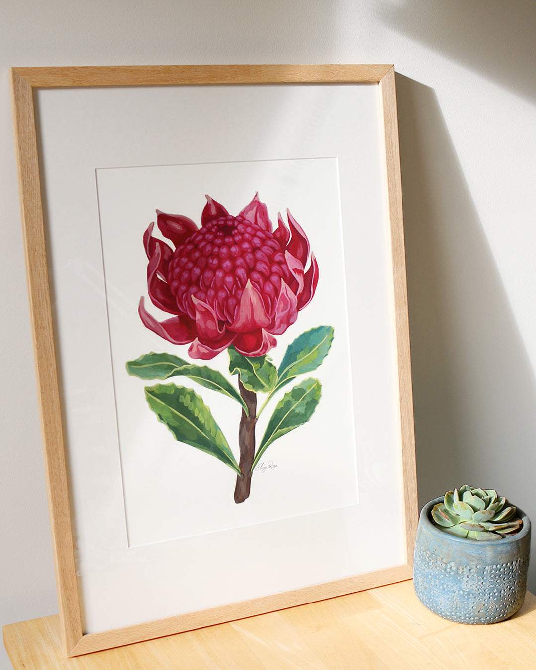 Sophia Waratah Flower || Fine Art Print