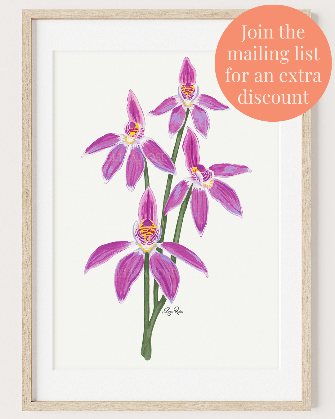 Seconds || Rosie Orchid Flower || Fine Art Print