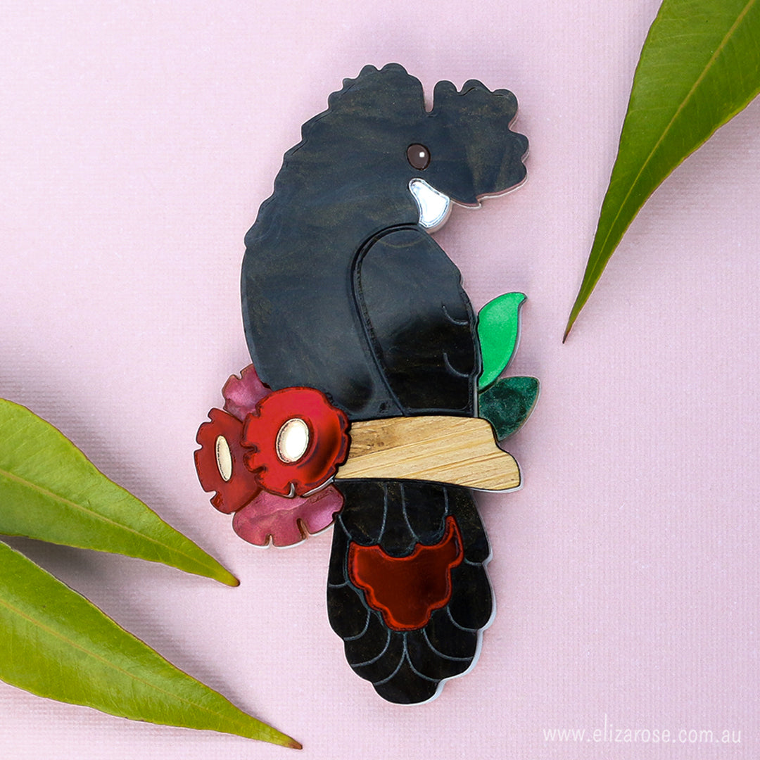 Red-Tailed Black Cockatoo Brooch