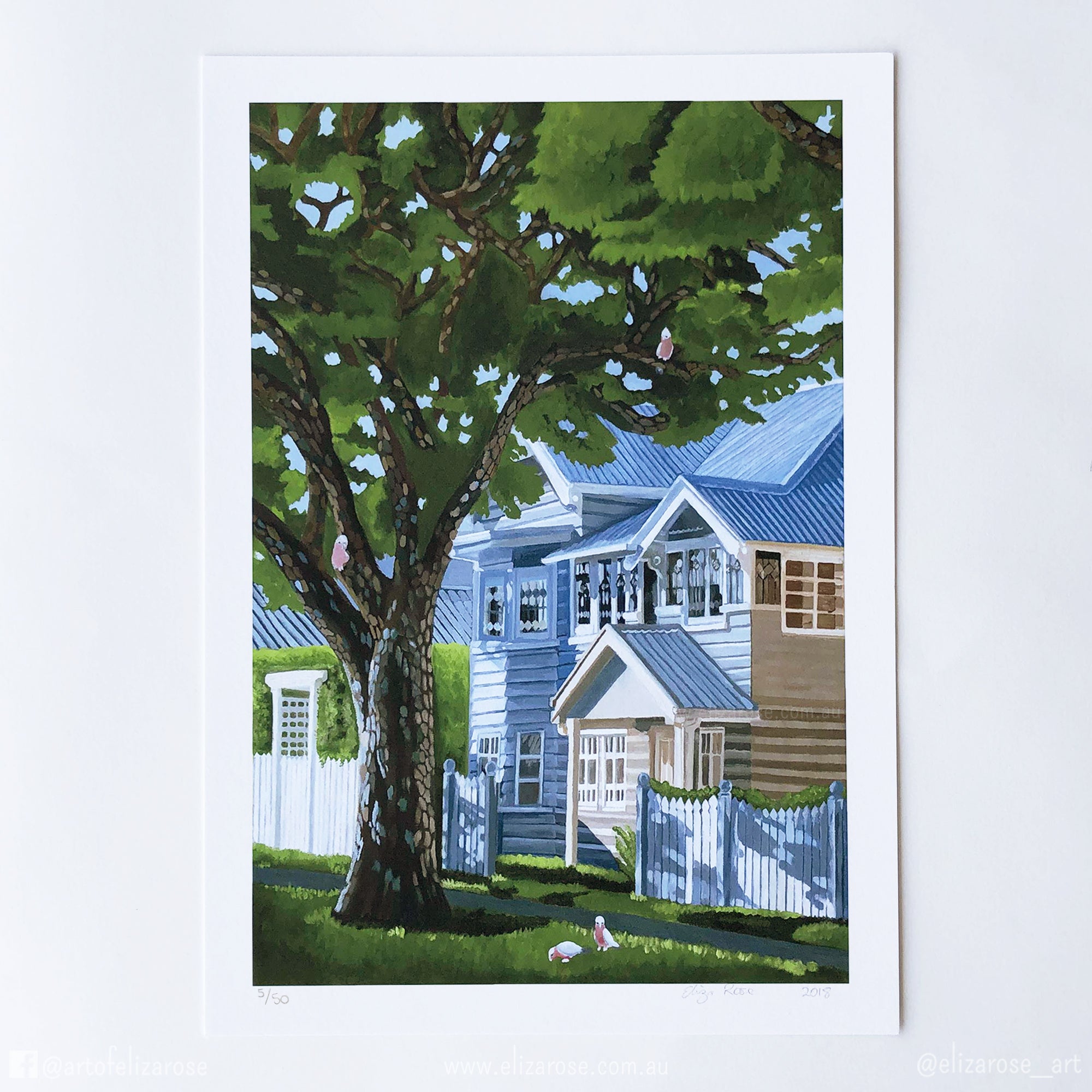 Wooloowin Weatherboard || Limited Edition Giclee Print
