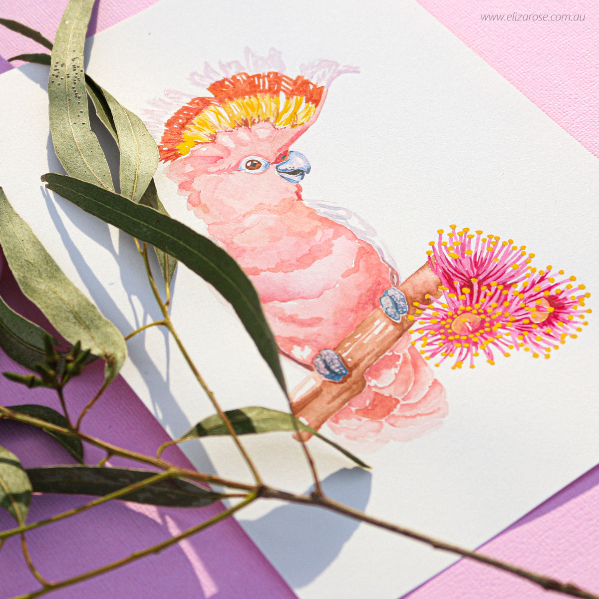 Major Mitchell With Flowering Gum || Original Gouache Painting