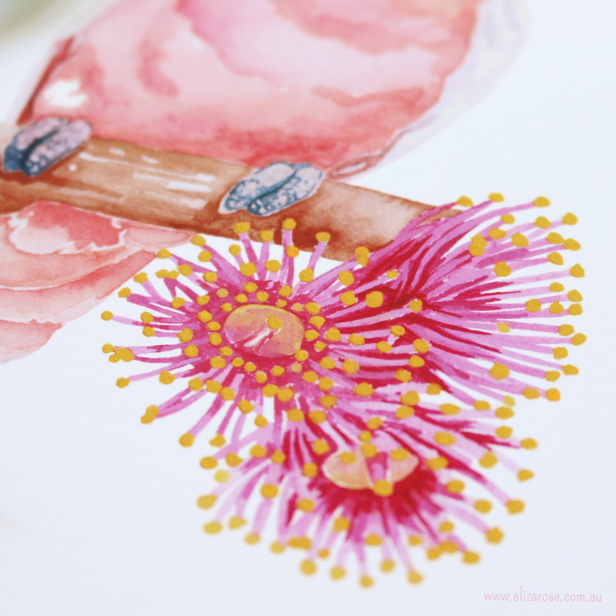 Pink Cockatoo & Flowering Gum || Limited Edition Giclee Print